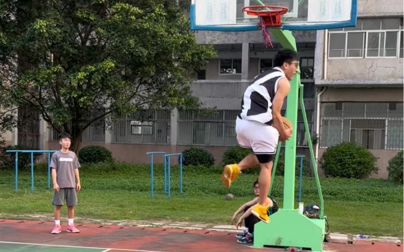 所体现的